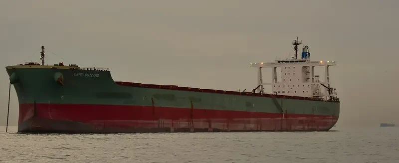 CAPE BUZZARD Bulk Carrier IMO 9446623 photo 3