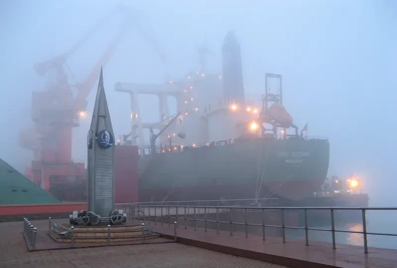 CAPE BUZZARD Bulk Carrier IMO 9446623 photo 6