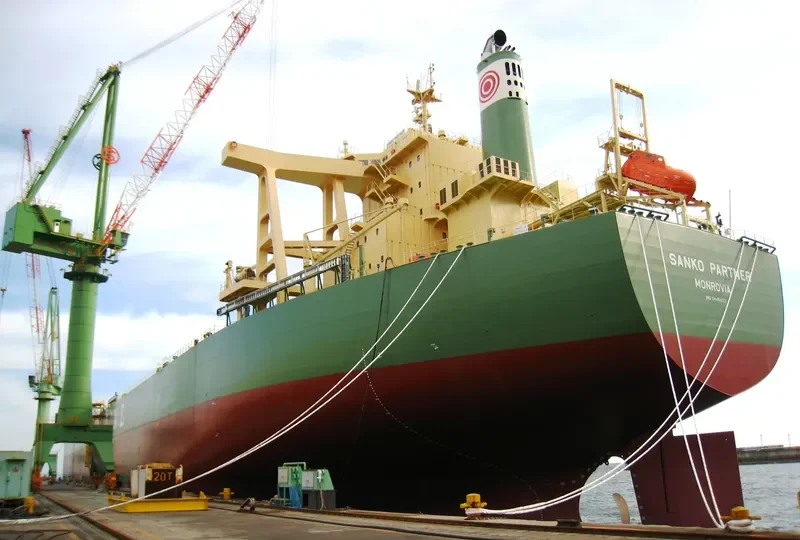 CAPE BUZZARD Bulk Carrier IMO 9446623 photo 8