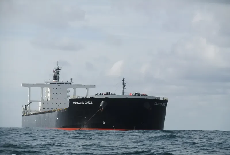 MOUNT DAMPIER Bulk Carrier IMO 9446635 photo 10