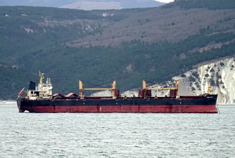TOMINI ABILITY Bulk Carrier IMO 9446726