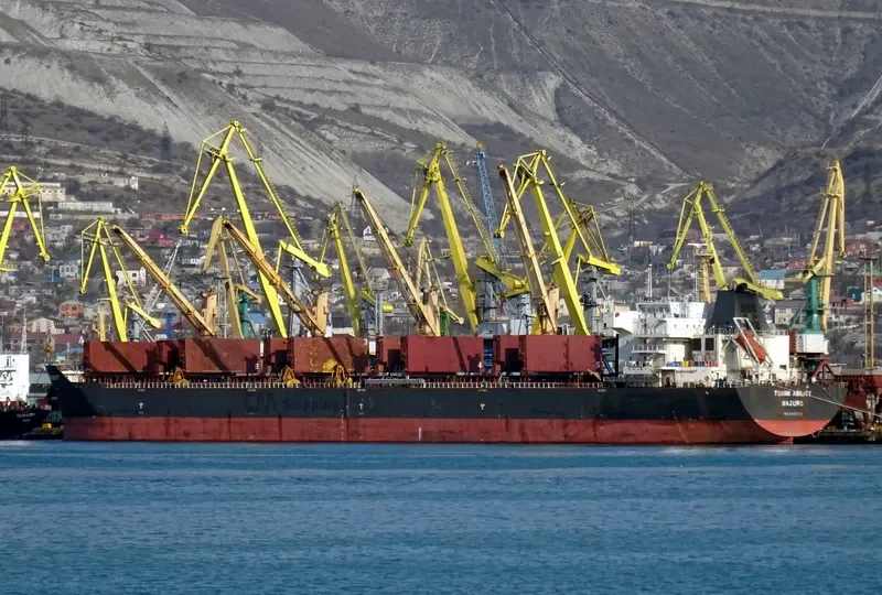 TOMINI ABILITY Bulk Carrier IMO 9446726 photo 3