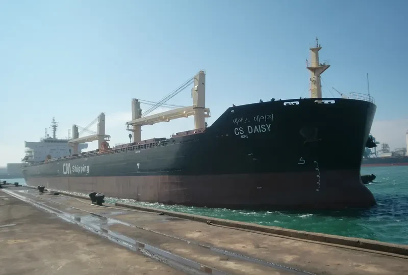 TOMINI ABILITY Bulk Carrier IMO 9446726 photo 10