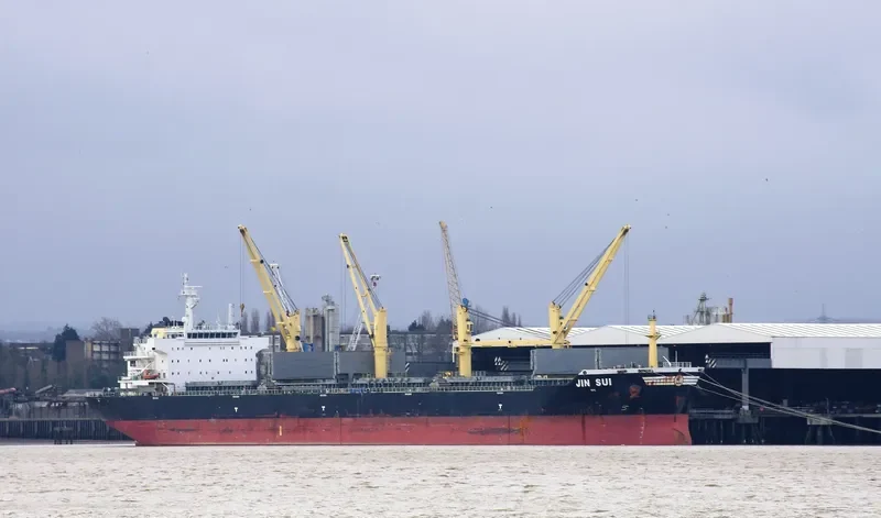 JIN SUI Bulk Carrier IMO 9446934
