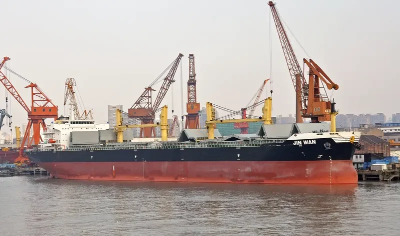 JIN WAN Bulk Carrier IMO 9446958 photo 2