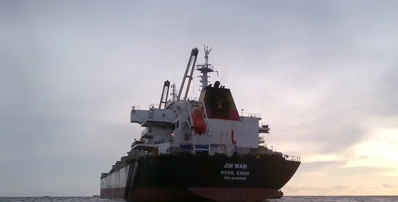 JIN WAN Bulk Carrier IMO 9446958 photo 3