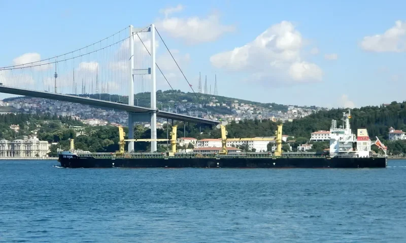JIN WAN Bulk Carrier IMO 9446958 photo 9