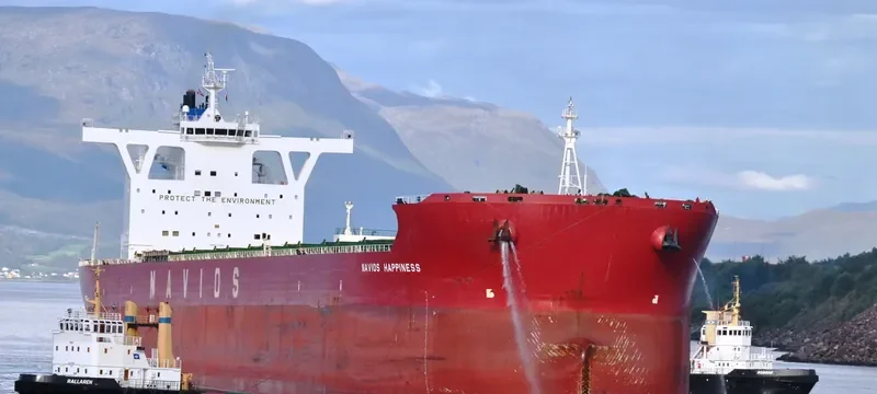 NAVIOS HAPPINESS Bulk Carrier IMO 9447005 photo 7