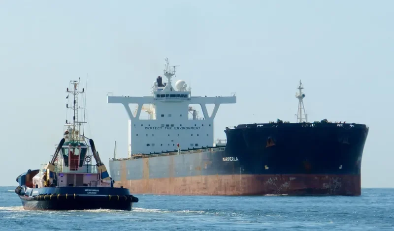 MARIPERLA Bulk Carrier IMO 9447017 photo 4