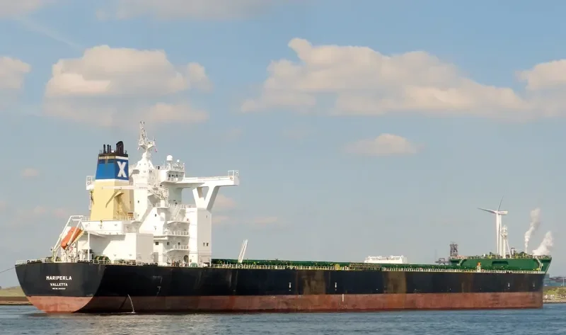 MARIPERLA Bulk Carrier IMO 9447017 photo 5