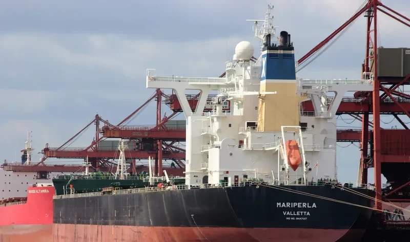 MARIPERLA Bulk Carrier IMO 9447017 photo 9