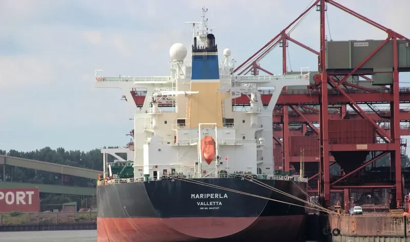 MARIPERLA Bulk Carrier IMO 9447017 photo 10