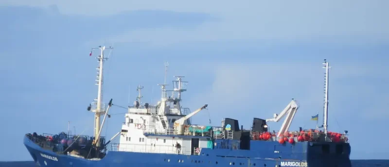 MARIGOLDS General Cargo IMO 9447110 photo 4