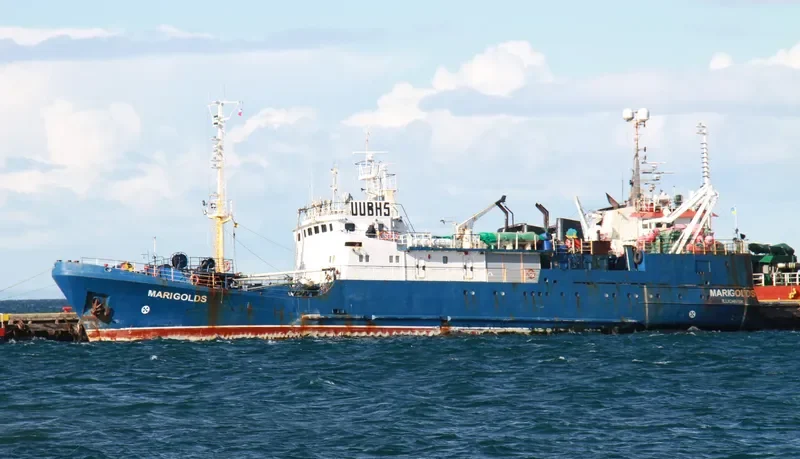 MARIGOLDS General Cargo IMO 9447110 photo 10
