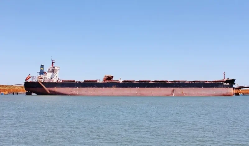 COALMAX Bulk Carrier IMO 9447184 photo 2