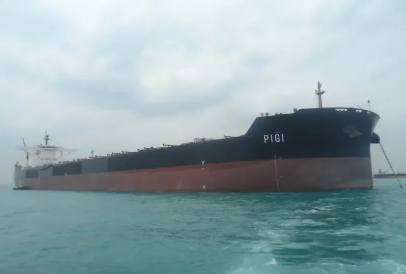 PIGI Bulk Carrier IMO 9447196 photo 2
