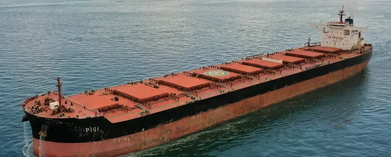 PIGI Bulk Carrier IMO 9447196 photo 3