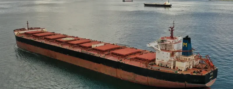 PIGI Bulk Carrier IMO 9447196 photo 4
