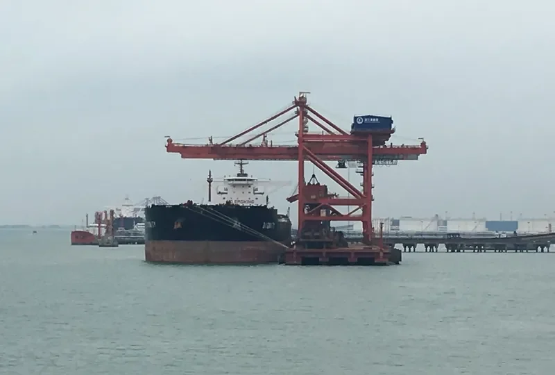 DIGNITY Bulk Carrier IMO 9447201