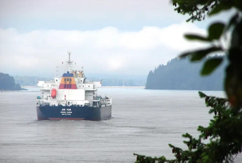 JIN YUE Bulk Carrier IMO 9447469
