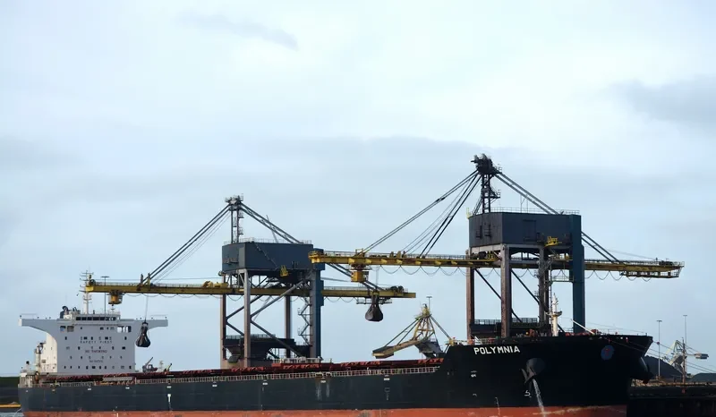 POLYMNIA Bulk Carrier IMO 9447976