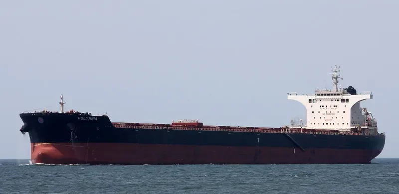 POLYMNIA Bulk Carrier IMO 9447976 photo 7