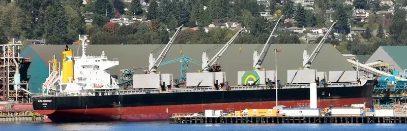ULTRA COLONSAY Bulk Carrier IMO 9448217 photo 2