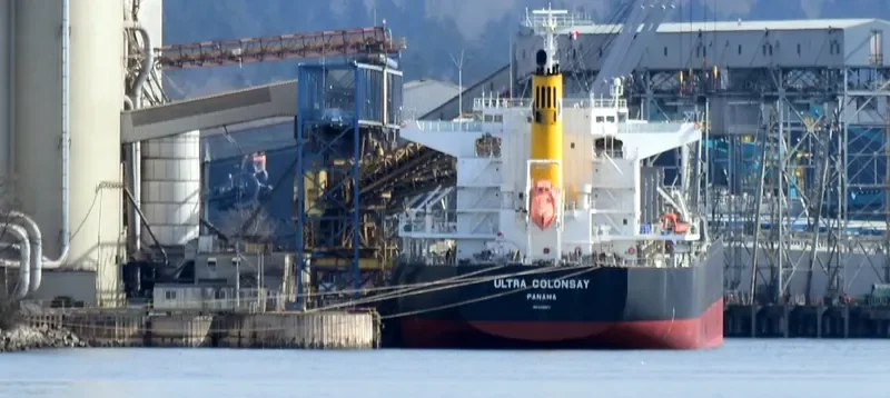 ULTRA COLONSAY Bulk Carrier IMO 9448217 photo 8