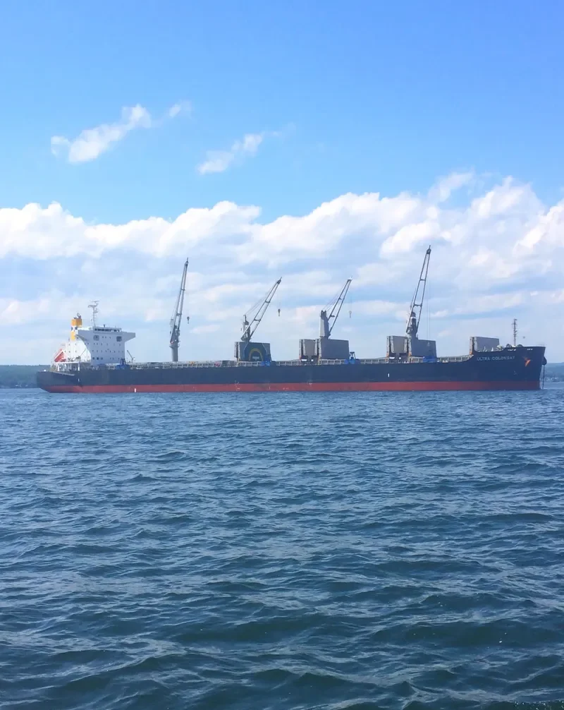 ULTRA COLONSAY Bulk Carrier IMO 9448217 photo 10