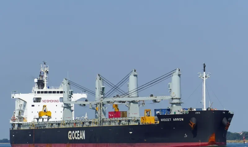 AVOCET ARROW General Cargo IMO 9448255 photo 4