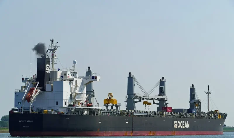 AVOCET ARROW General Cargo IMO 9448255 photo 5
