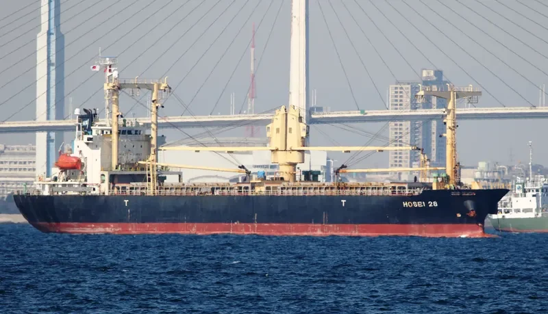 HOSEI 28 General Cargo IMO 9449314 photo 7