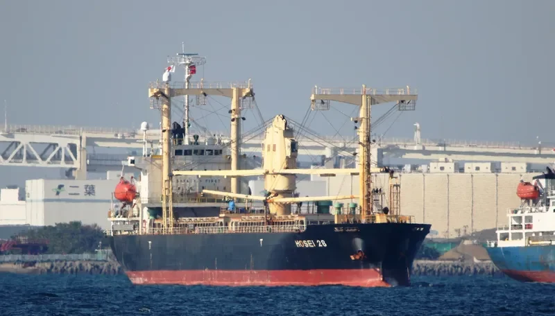 HOSEI 28 General Cargo IMO 9449314 photo 8
