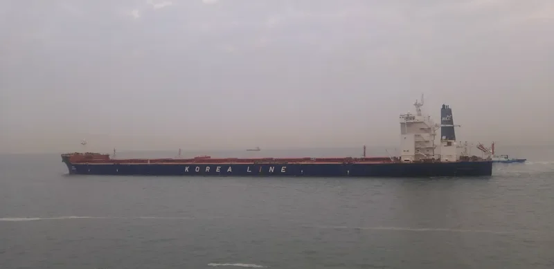 LAVENDER Bulk Carrier IMO 9449376