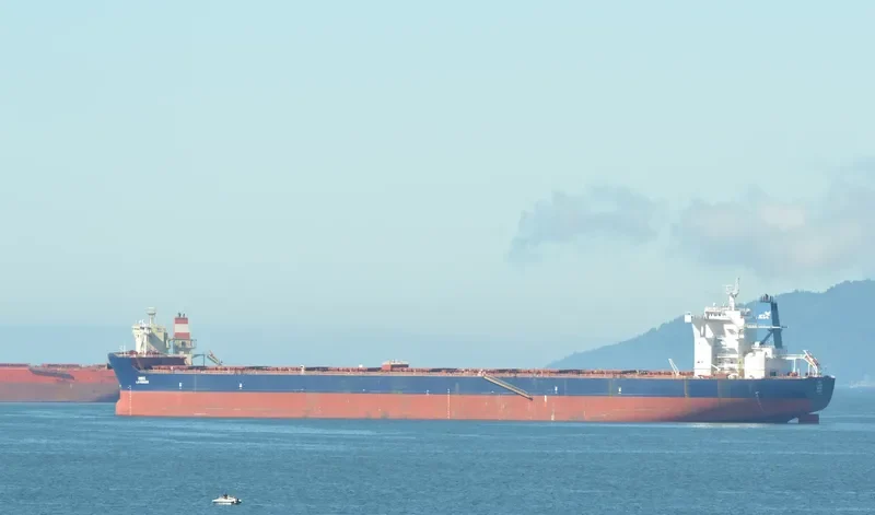 LAVENDER Bulk Carrier IMO 9449376 photo 3
