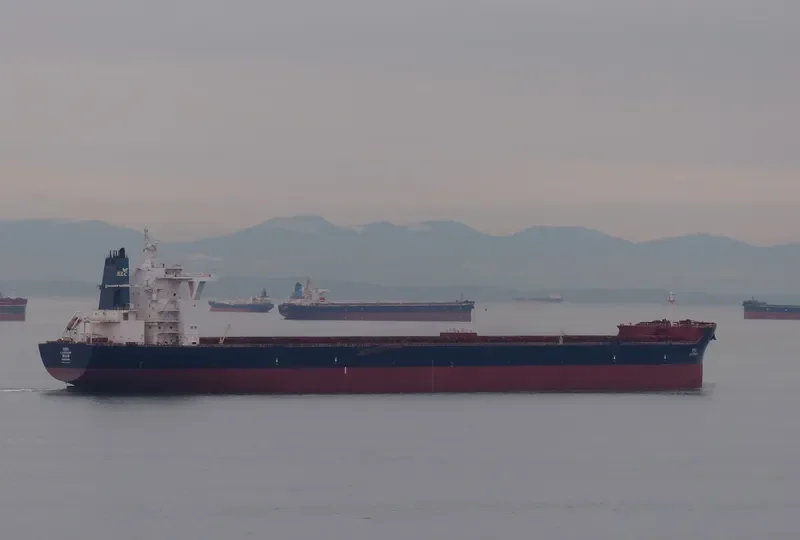 LAVENDER Bulk Carrier IMO 9449376 photo 5