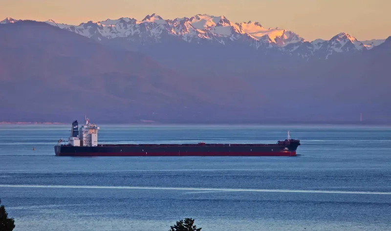 LAVENDER Bulk Carrier IMO 9449376 photo 6