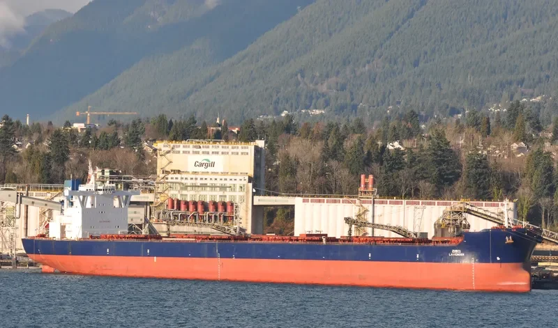 LAVENDER Bulk Carrier IMO 9449376 photo 7