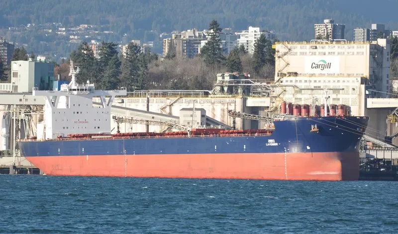 LAVENDER Bulk Carrier IMO 9449376 photo 8