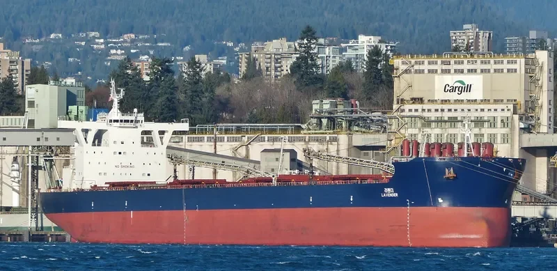 LAVENDER Bulk Carrier IMO 9449376 photo 9