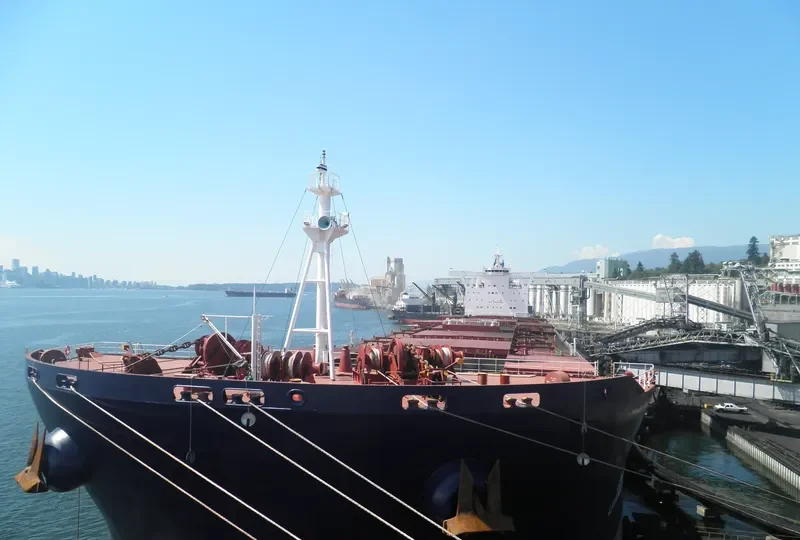 LAVENDER Bulk Carrier IMO 9449376 photo 10