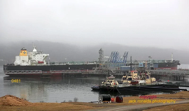 MARE PICENUM Tanker IMO 9449405 photo 9
