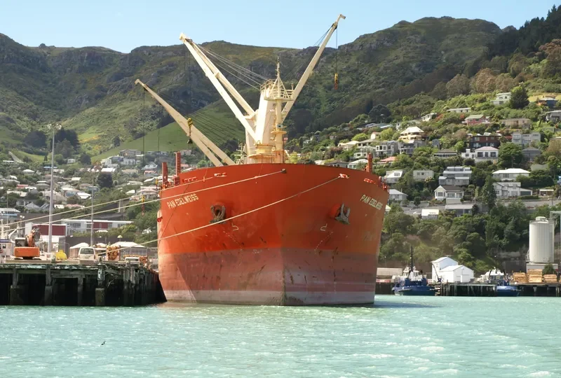 PAN EDELWEISS Bulk Carrier IMO 9449508 photo 5