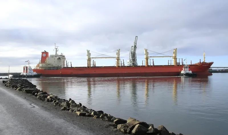 PAN EDELWEISS Bulk Carrier IMO 9449508 photo 10