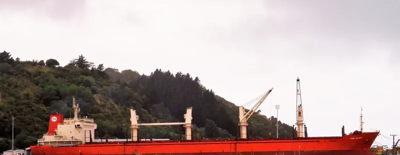 PAN GLORIS Bulk Carrier IMO 9449510 photo 9