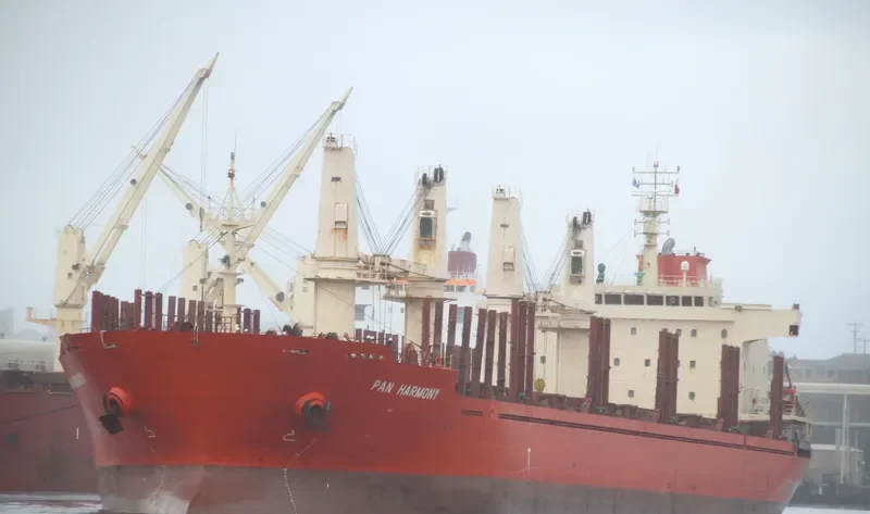 PAN HARMONY Bulk Carrier IMO 9449522 photo 6