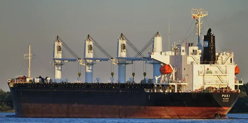 PAXI Bulk Carrier IMO 9449792 photo 15