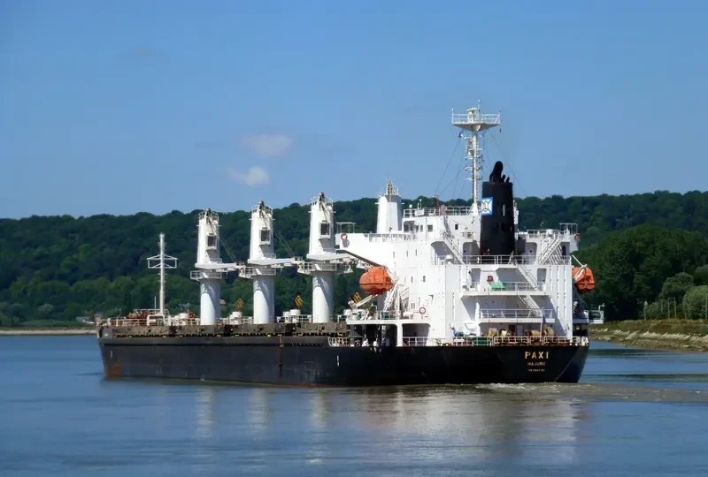 PAXI Bulk Carrier IMO 9449792 photo 28