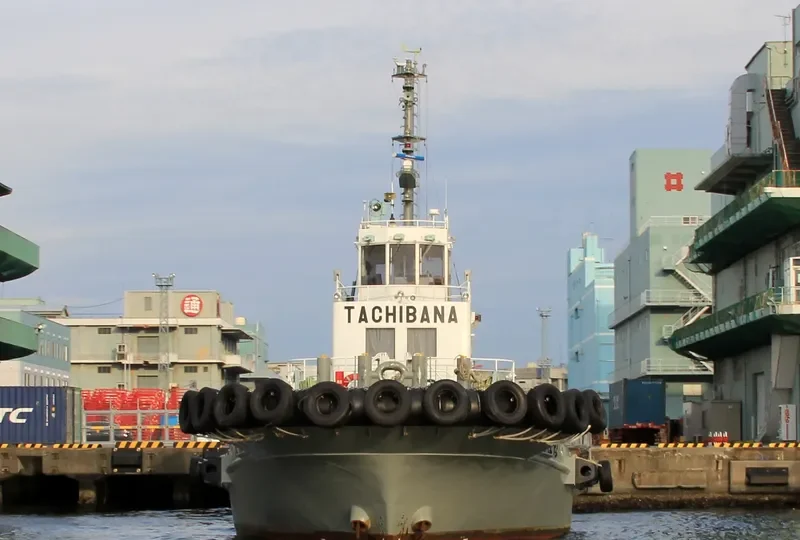 TACHIBANA General Cargo IMO 9449807 photo 2