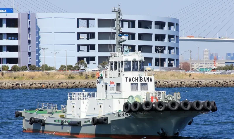 TACHIBANA General Cargo IMO 9449807 photo 4